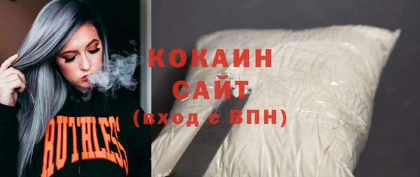 индика Абинск